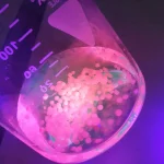 Vieni a scoprire il nostro indirizzo di Chimica, Materiali e Biotecnologia